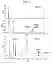 Fig. 06 - Simultneous analytical method for oxidatively damaged guanine compound and concentration correcting substance thereof, and analyzer used for this analytical method