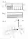 Fig. 03 - Method for analysis by molecular hybridization of nucleic acids and kit for carrying out said method