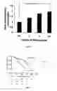 Fig. 02 - Methods for predicting the risk of diabetic nephropathy using genetic markers and arrays containing the same