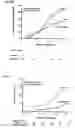 Fig. 04 - Methods for predicting the risk of diabetic nephropathy using genetic markers and arrays containing the same