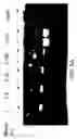 Fig. 09 - Compartmentalized self tagging