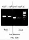Fig. 16 - Compartmentalized self tagging