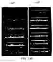 Fig. 17 - Compartmentalized self tagging