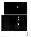 Fig. 09 - PROBES AND METHODS FOR IDENTIFYING POLYCYCLIC AROMATIC HYDROCARBON-DEGRADING MYCOBACTERIA