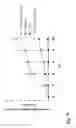 Fig. 17 - PROBES AND METHODS FOR IDENTIFYING POLYCYCLIC AROMATIC HYDROCARBON-DEGRADING MYCOBACTERIA