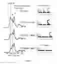 Fig. 08 - USE OF ADENINE AS A METHOD FOR CONTROLLED IMMOBILIZATION OF NUCLEIC ACIDS AND THEIR ANALOGS ON GOLD SURFACES
