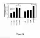 Fig. 15 - USE OF ADENINE AS A METHOD FOR CONTROLLED IMMOBILIZATION OF NUCLEIC ACIDS AND THEIR ANALOGS ON GOLD SURFACES