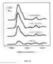 Fig. 16 - USE OF ADENINE AS A METHOD FOR CONTROLLED IMMOBILIZATION OF NUCLEIC ACIDS AND THEIR ANALOGS ON GOLD SURFACES