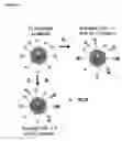 Fig. 10 - CONTROL OF CHEMICAL MODIFICATION