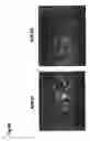 Fig. 05 - Method for modulating the binding activity of a novel ICAM-3 binding receptor on sinusoidal endothelial cells in liver and lymph nodes