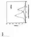 Fig. 06 - Method for modulating the binding activity of a novel ICAM-3 binding receptor on sinusoidal endothelial cells in liver and lymph nodes