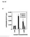 Fig. 10 - Method for modulating the binding activity of a novel ICAM-3 binding receptor on sinusoidal endothelial cells in liver and lymph nodes