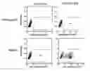 Fig. 01 - Dengue virus detection measured by immunocytometry in a dendritic cell surrogate
