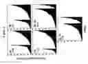 Fig. 06 - siRNA targeting TIE-2