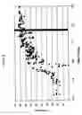 Fig. 13 - siRNA targeting TIE-2