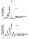 Fig. 05 - Gene information display method and apparatus