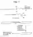 Fig. 02 - Method for attachment of silylated molecules to glass surfaces