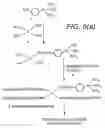 Fig. 04 - Method for attachment of silylated molecules to glass surfaces