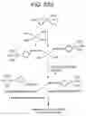 Fig. 05 - Method for attachment of silylated molecules to glass surfaces
