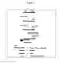 Fig. 03 - Compositions and methods for detecting phosphomonoester