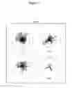 Fig. 10 - Compositions and methods for detecting phosphomonoester