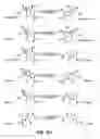 Fig. 12 - Novel antibacterial agents