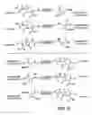 Fig. 14 - Novel antibacterial agents
