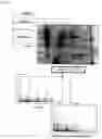 Fig. 04 - Novel screening method of indicator substance