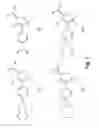 Fig. 02 - Fluorophore compounds and their use in biological systems
