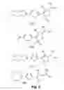 Fig. 06 - Fluorophore compounds and their use in biological systems