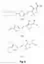 Fig. 07 - Fluorophore compounds and their use in biological systems