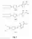 Fig. 08 - Fluorophore compounds and their use in biological systems