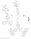 Fig. 09 - Fluorophore compounds and their use in biological systems