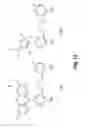 Fig. 13 - Fluorophore compounds and their use in biological systems