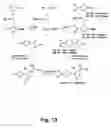 Fig. 14 - Fluorophore compounds and their use in biological systems