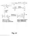 Fig. 16 - Fluorophore compounds and their use in biological systems