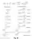 Fig. 17 - Fluorophore compounds and their use in biological systems