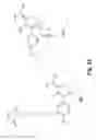 Fig. 23 - Fluorophore compounds and their use in biological systems