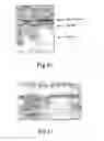 Fig. 11 - Method for cleaving proteins