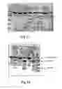 Fig. 15 - Method for cleaving proteins