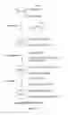 Fig. 02 - Immunogenic peptide carrier conjugates and methods of producing same