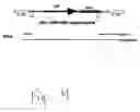 Fig. 06 - Hiv-dependent expression constructs and uses therefor