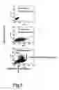Fig. 10 - Hiv-dependent expression constructs and uses therefor