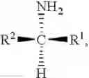 Fig. 07 - Thermostable omega-transaminases