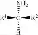 Fig. 06 - Thermostable omega-transaminases