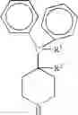 Fig. 04 - Process for the production of piperidine derivatives with microorganisms
