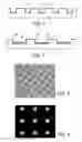 Fig. 02 - MICROREPLICATED MICROARRAYS