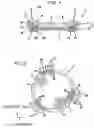 Fig. 02 - Living cell observing cell