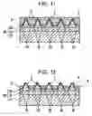 Fig. 06 - Living cell observing cell