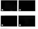 Fig. 01 - Cells for detection of enteroviruses